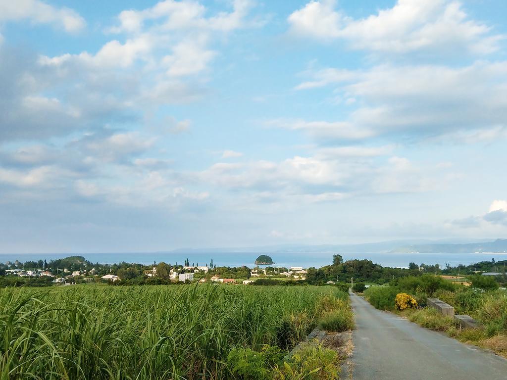 Kariyushi Condominium Resort Nago Rb Villa Nakidzsin Kültér fotó