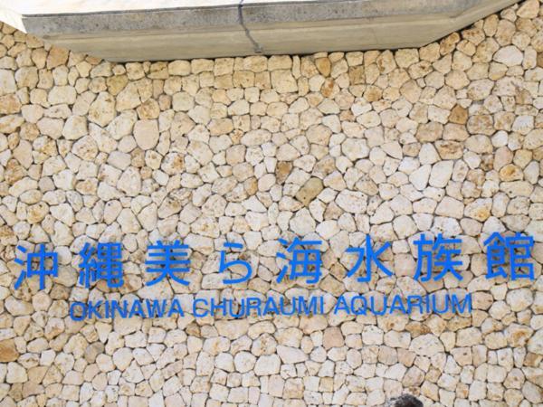 Kariyushi Condominium Resort Nago Rb Villa Nakidzsin Kültér fotó